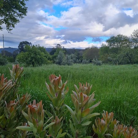 Quinta Jr - Casa De Campo Carregal  المظهر الخارجي الصورة