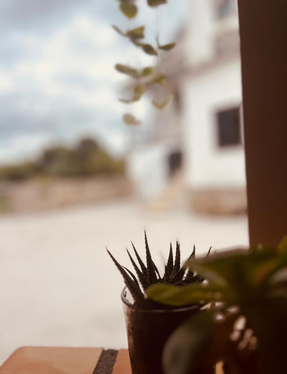 Quinta Jr - Casa De Campo Carregal  المظهر الخارجي الصورة